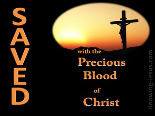 1 Peter 1:19 Saved With the Precious Blood of Christ (black)